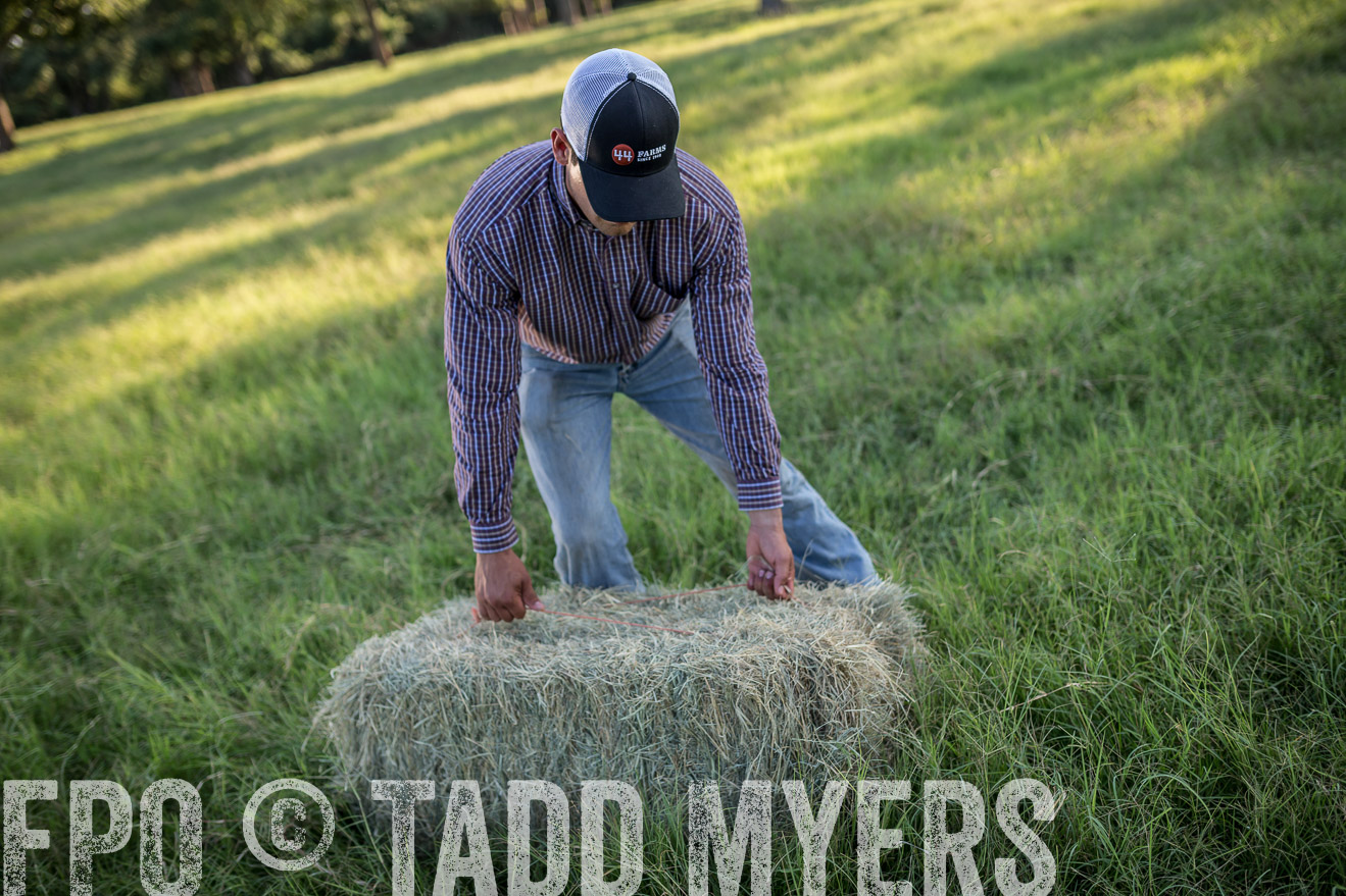TMyers_CameronTX_June2016-8980