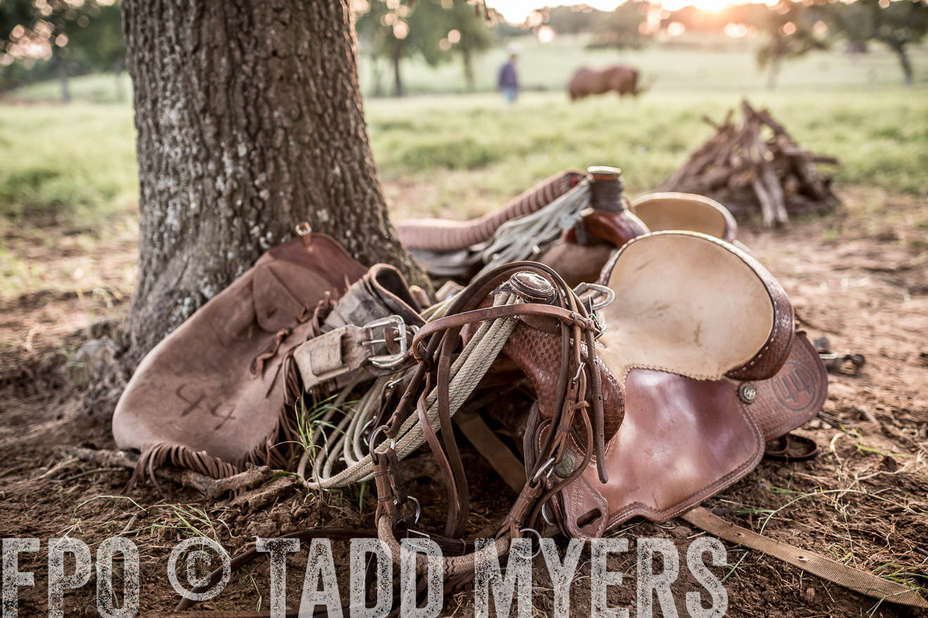 TMyers_CameronTX_June2016-9918