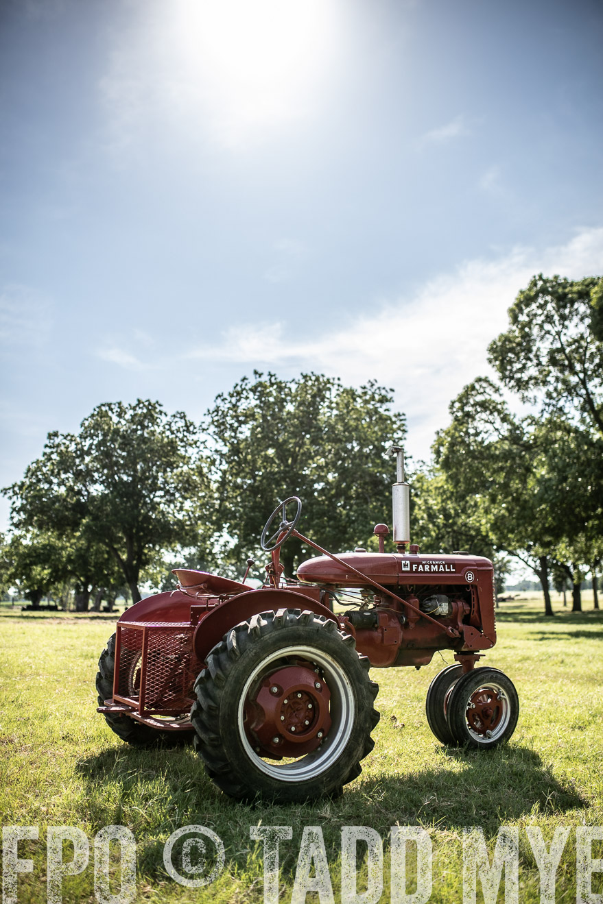 TMyers_44Farms_June2018-0004