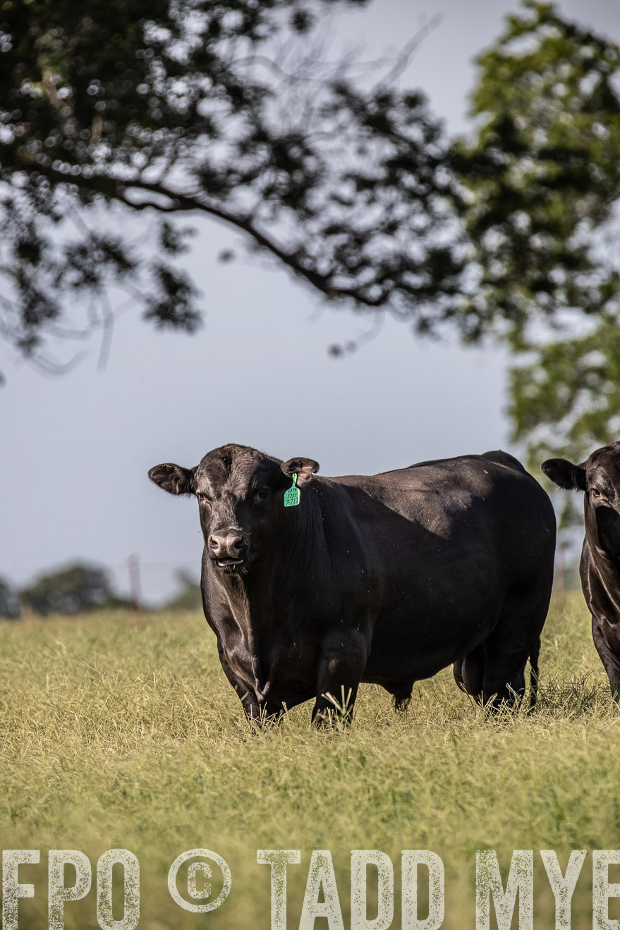 TMyers_44Farms_June2018-0064