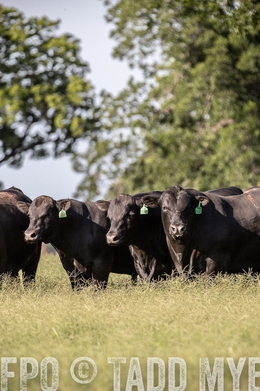 TMyers_44Farms_June2018-0077