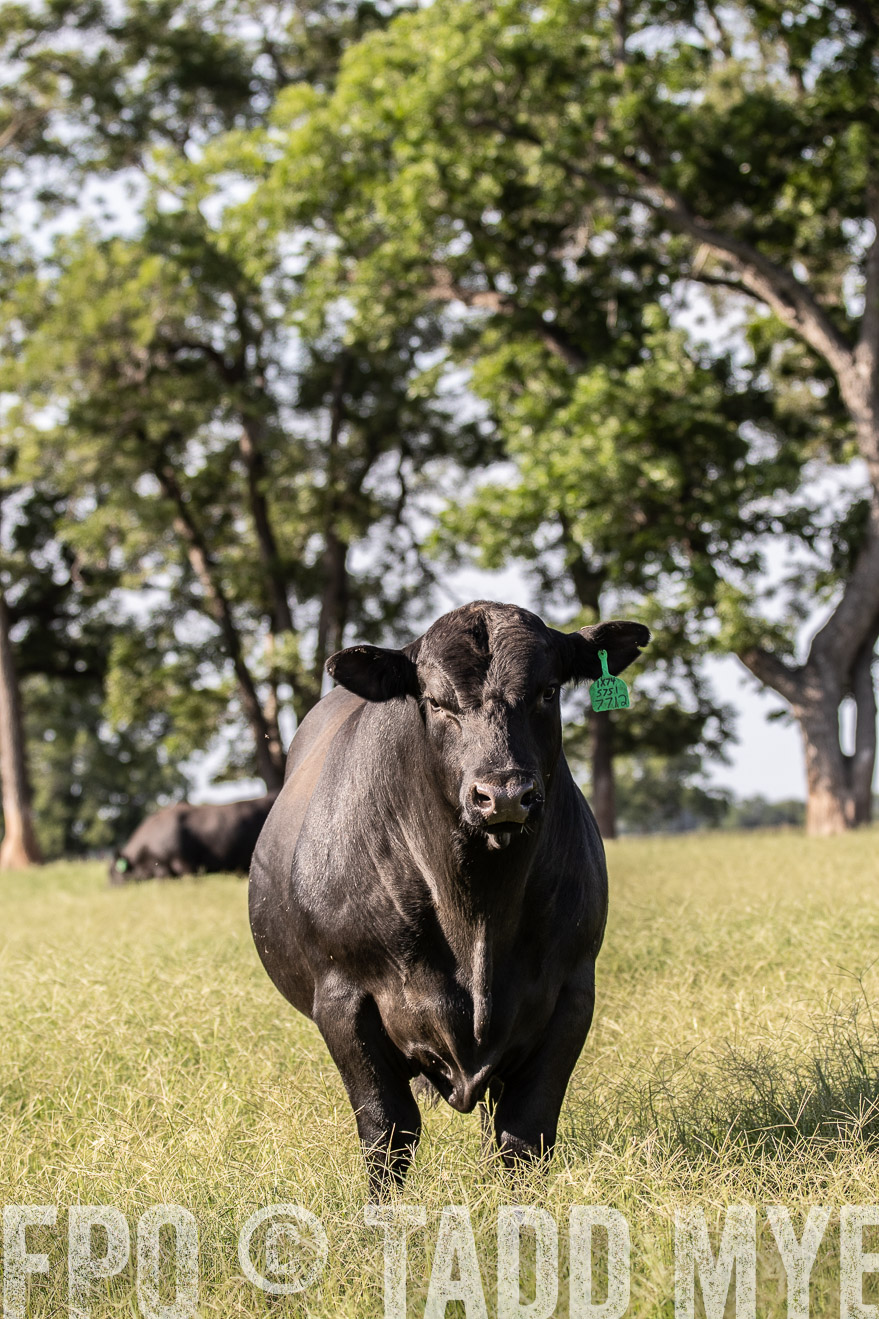 TMyers_44Farms_June2018-0120