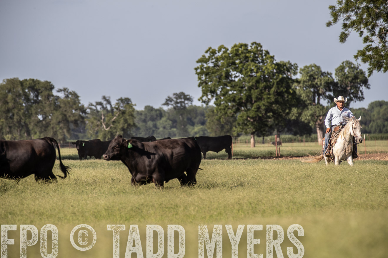 TMyers_44Farms_June2018-0167