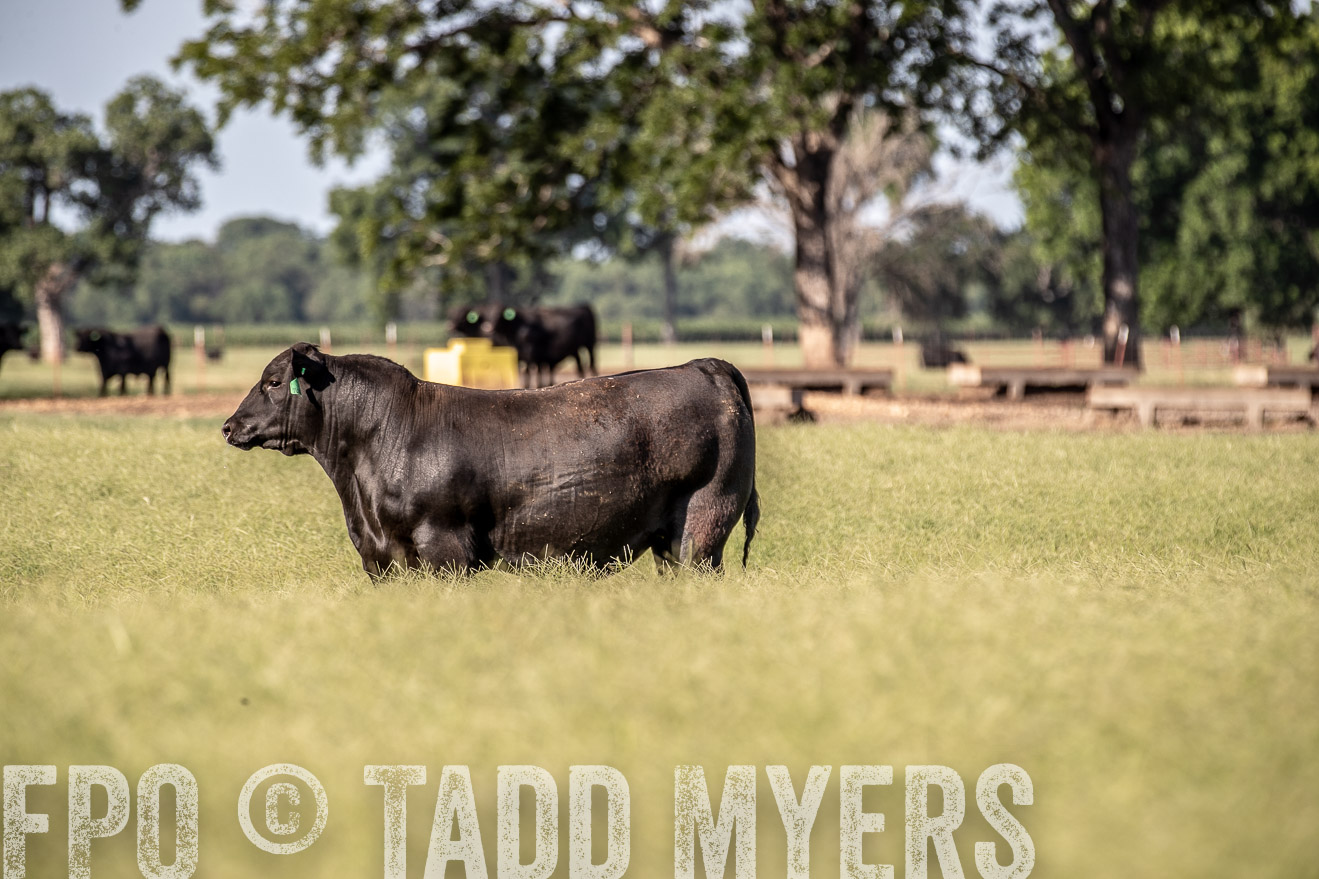 TMyers_44Farms_June2018-0174