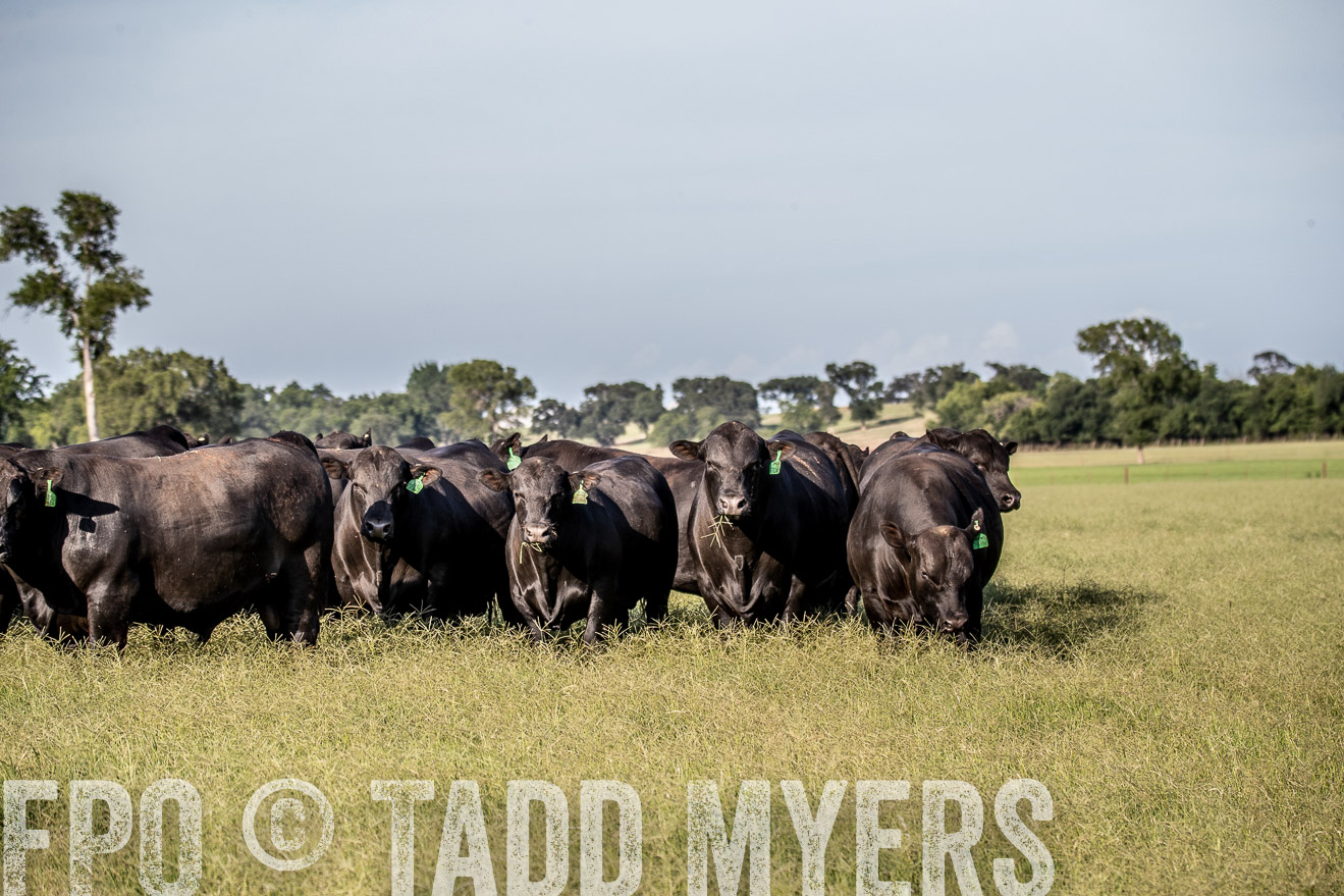 TMyers_44Farms_June2018-0277