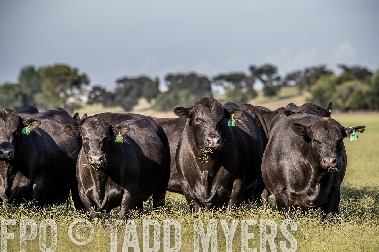 TMyers_44Farms_June2018-0281