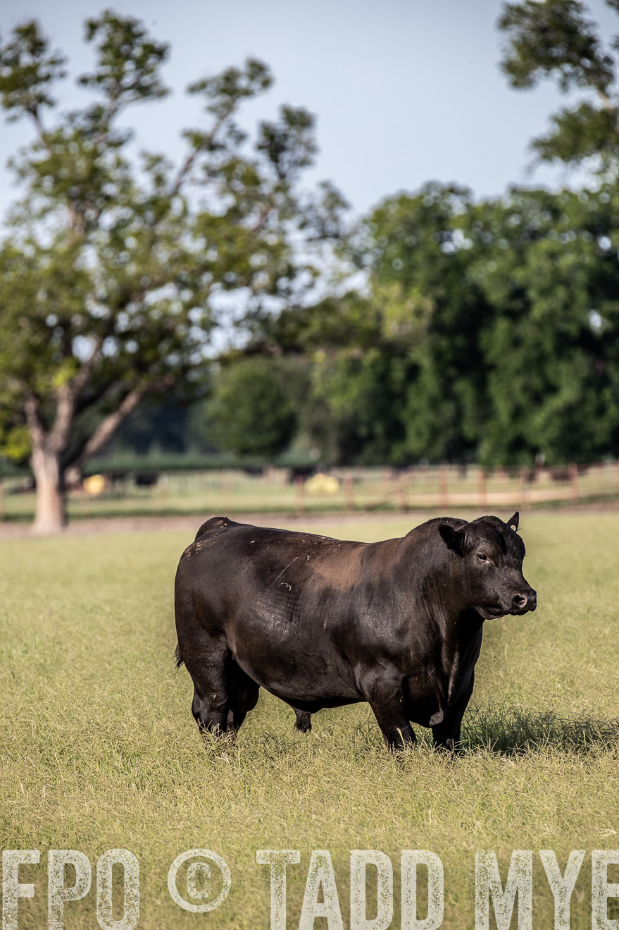 TMyers_44Farms_June2018-0306