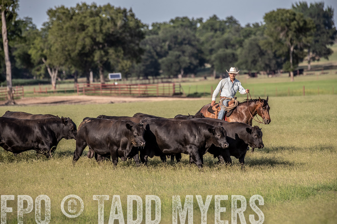TMyers_44Farms_June2018-0312