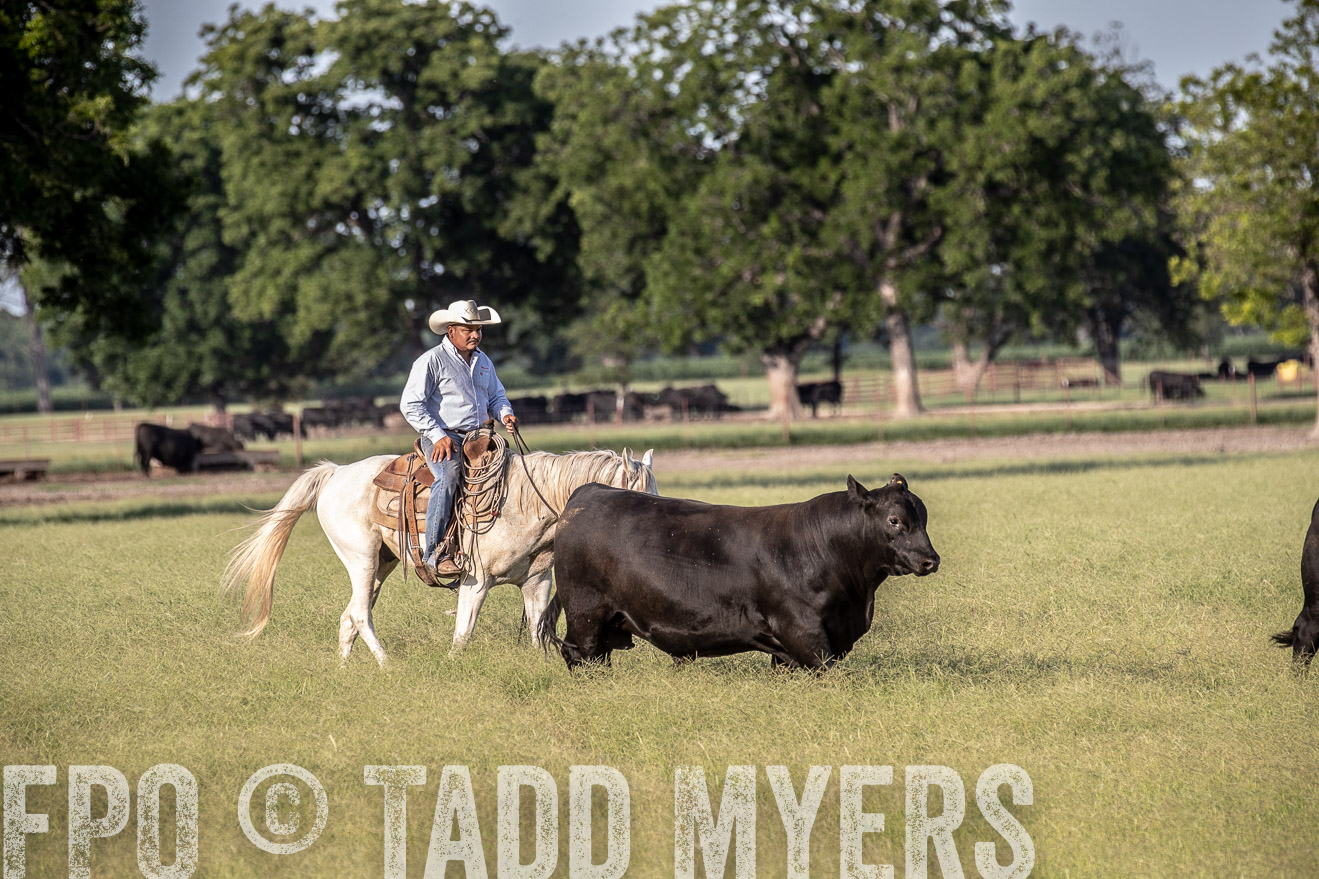 TMyers_44Farms_June2018-0331