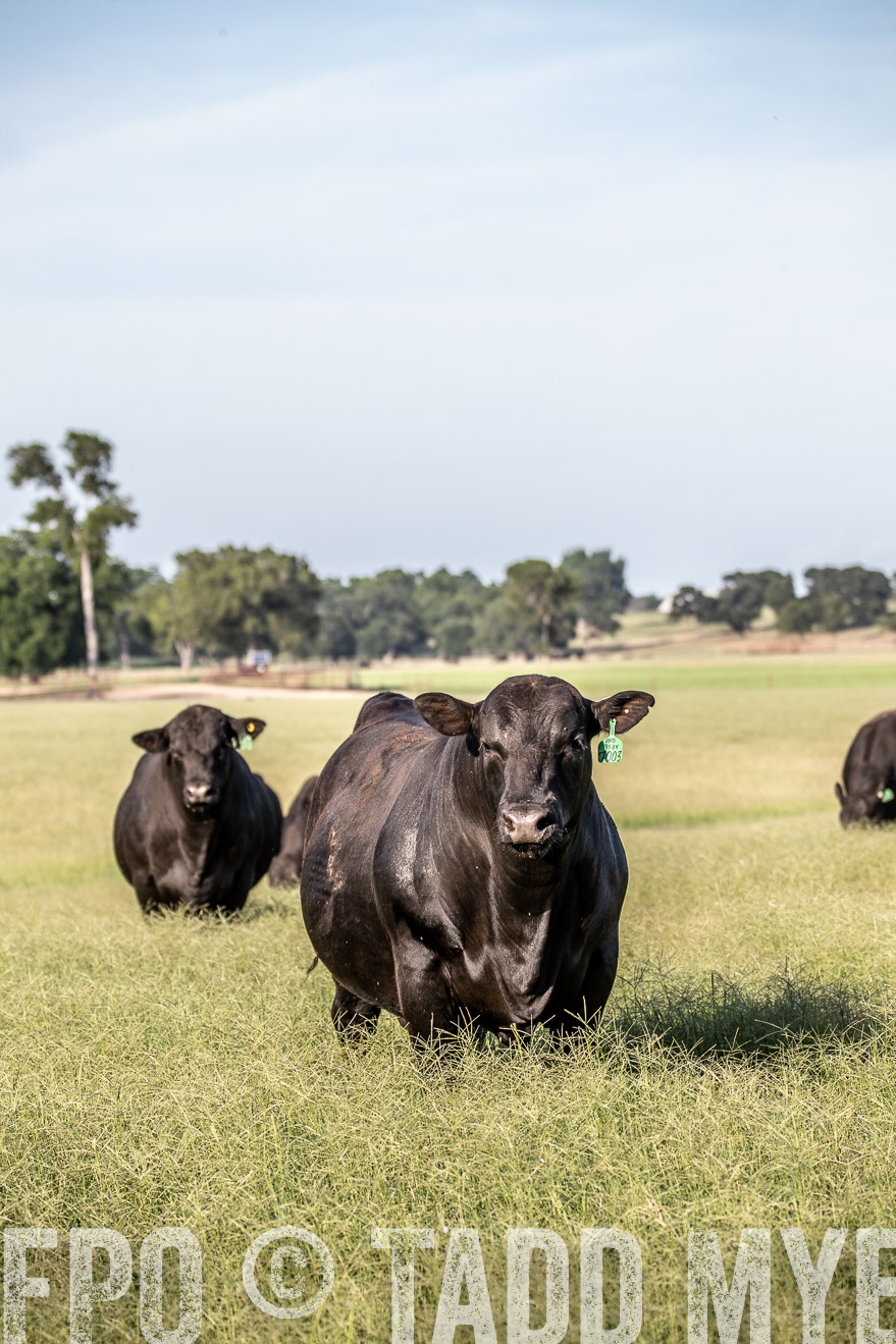 TMyers_44Farms_June2018-0363