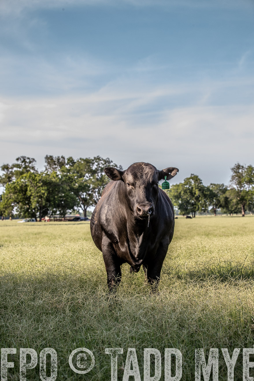 TMyers_44Farms_June2018-0452