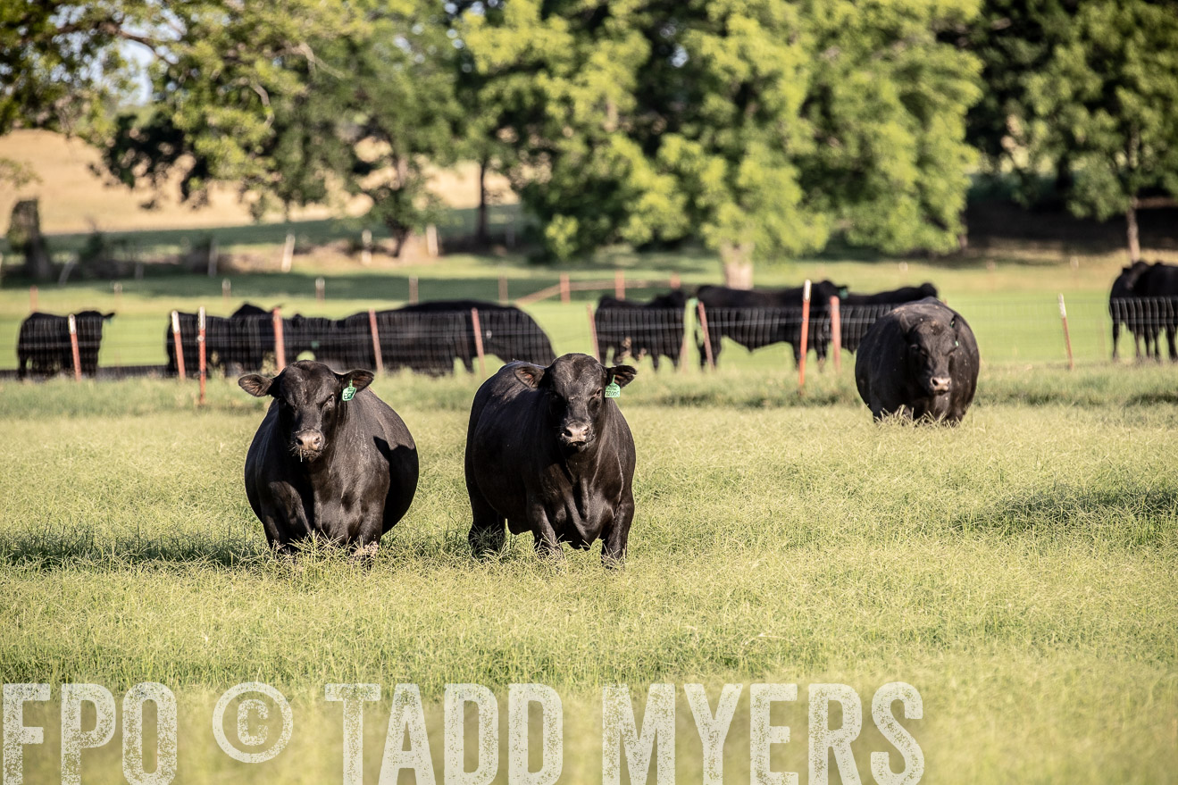 TMyers_44Farms_June2018-0521