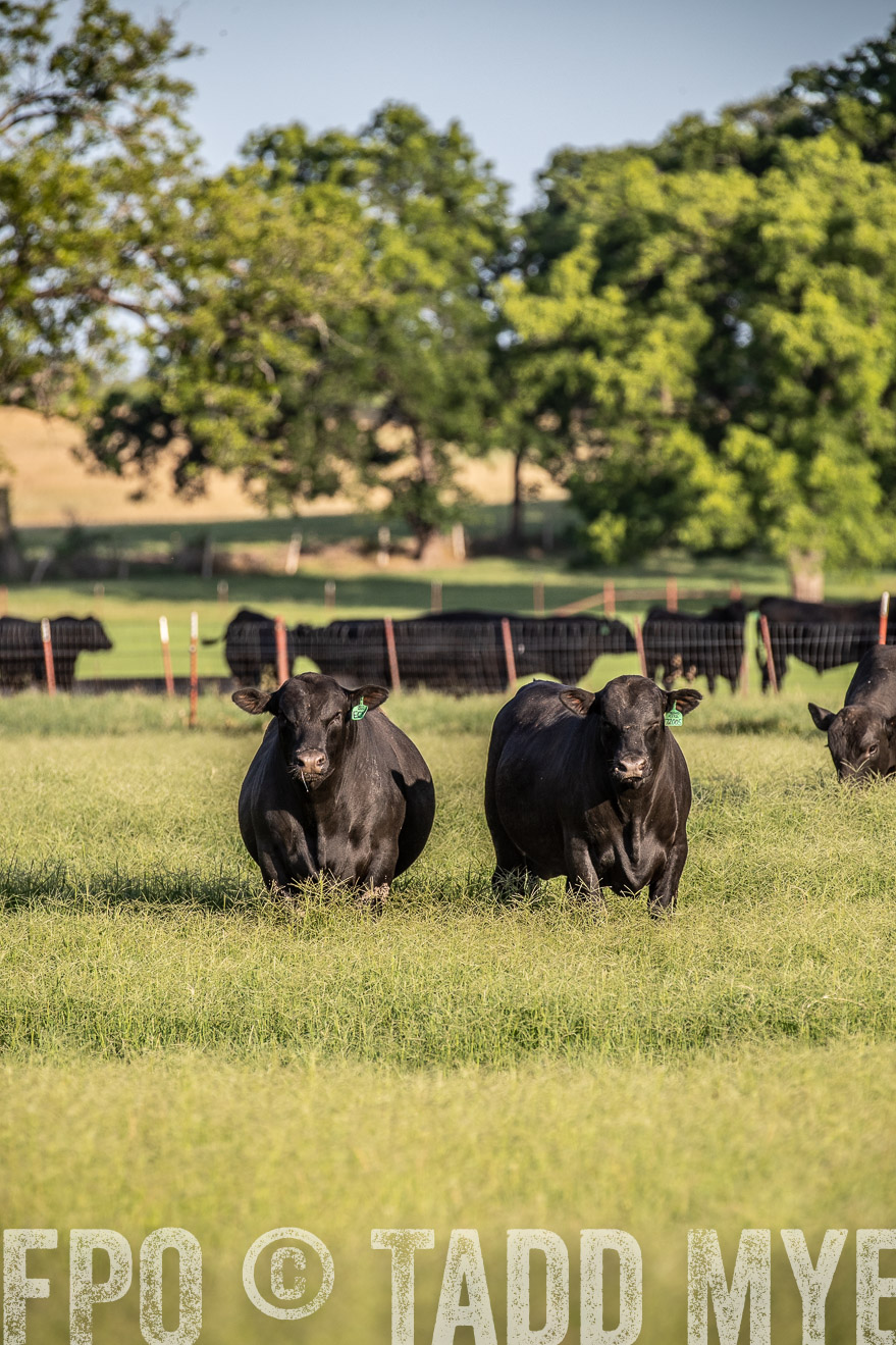 TMyers_44Farms_June2018-0527