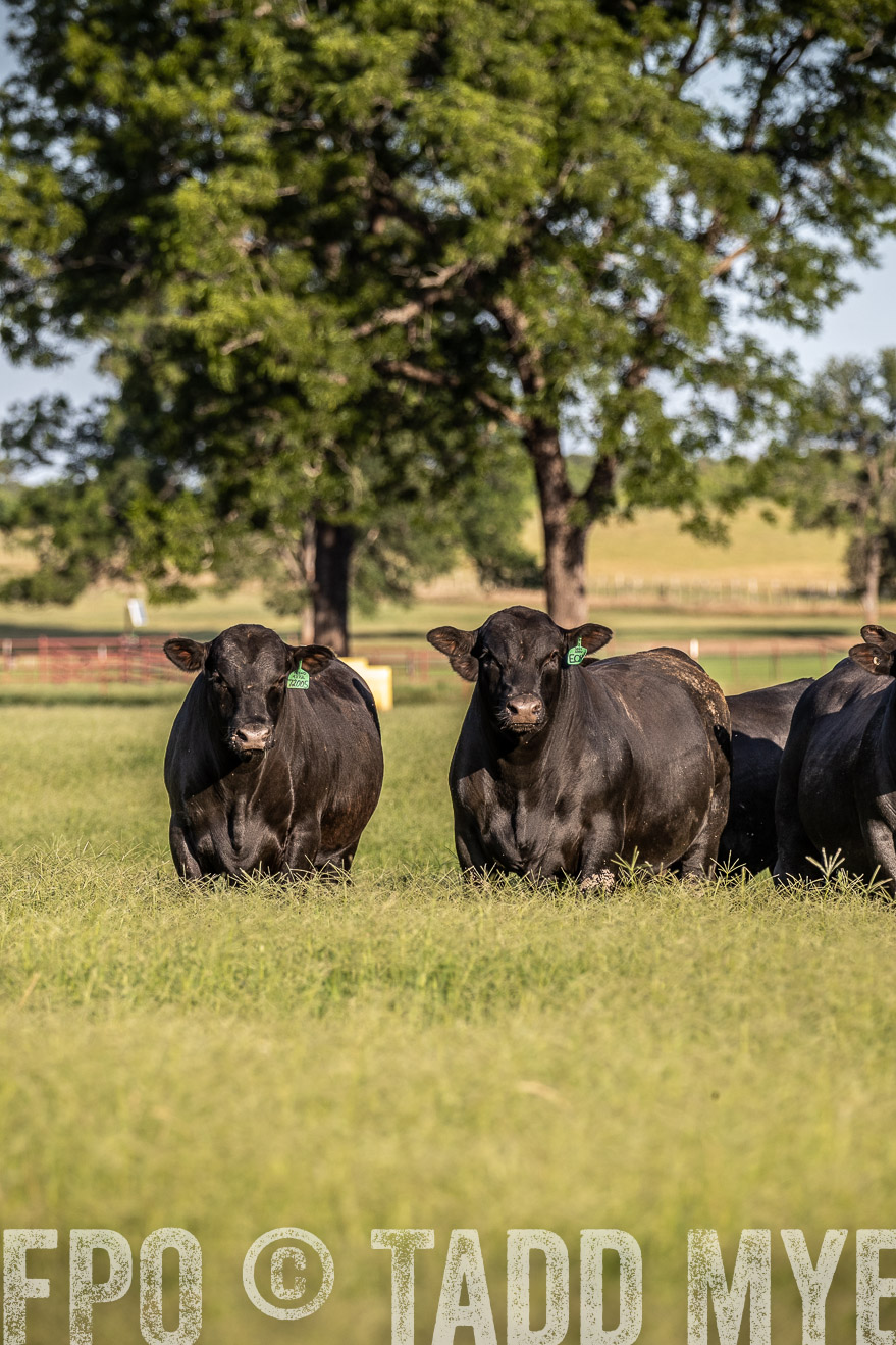 TMyers_44Farms_June2018-0565