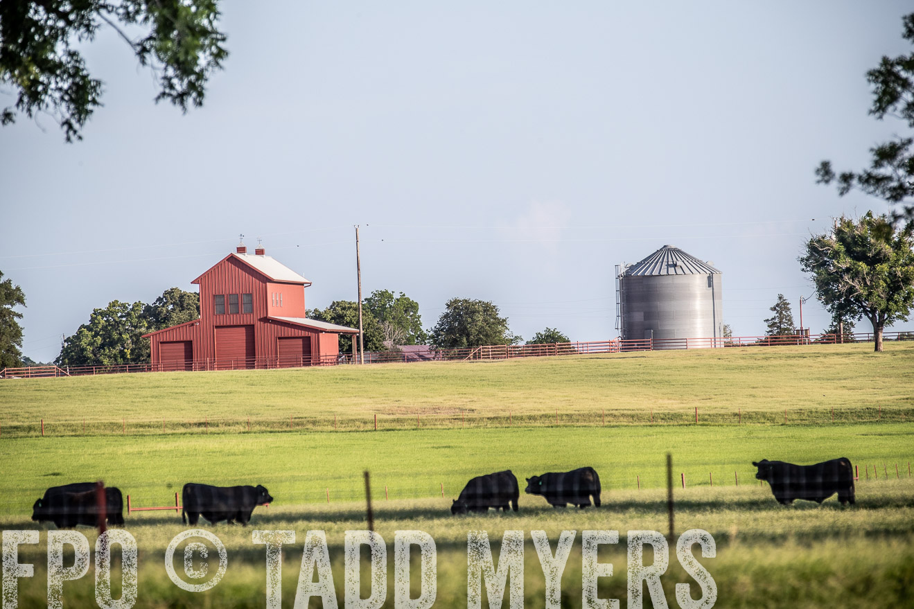 TMyers_44Farms_June2018-0593
