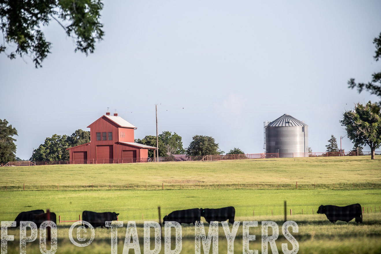 TMyers_44Farms_June2018-0597