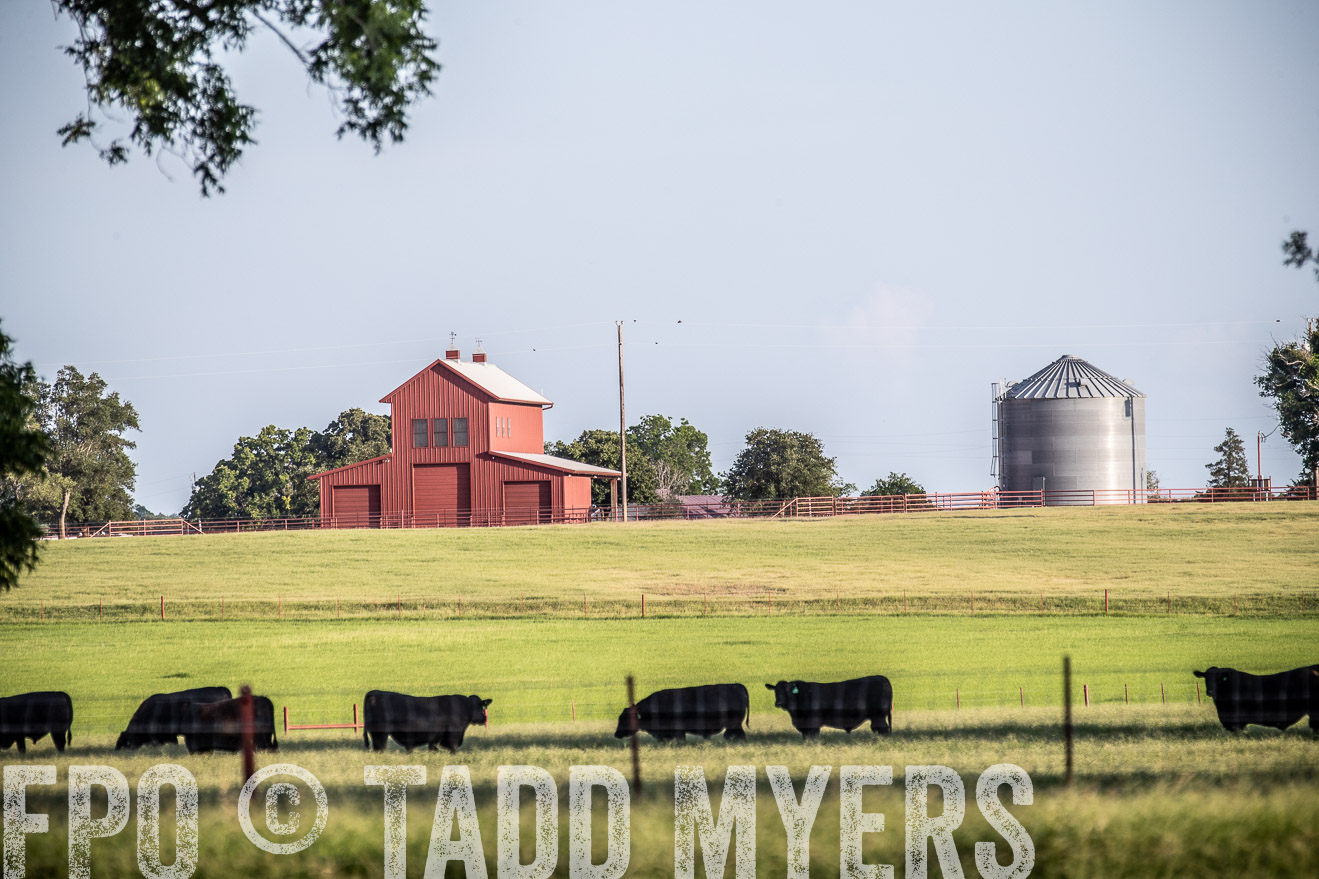 TMyers_44Farms_June2018-0598