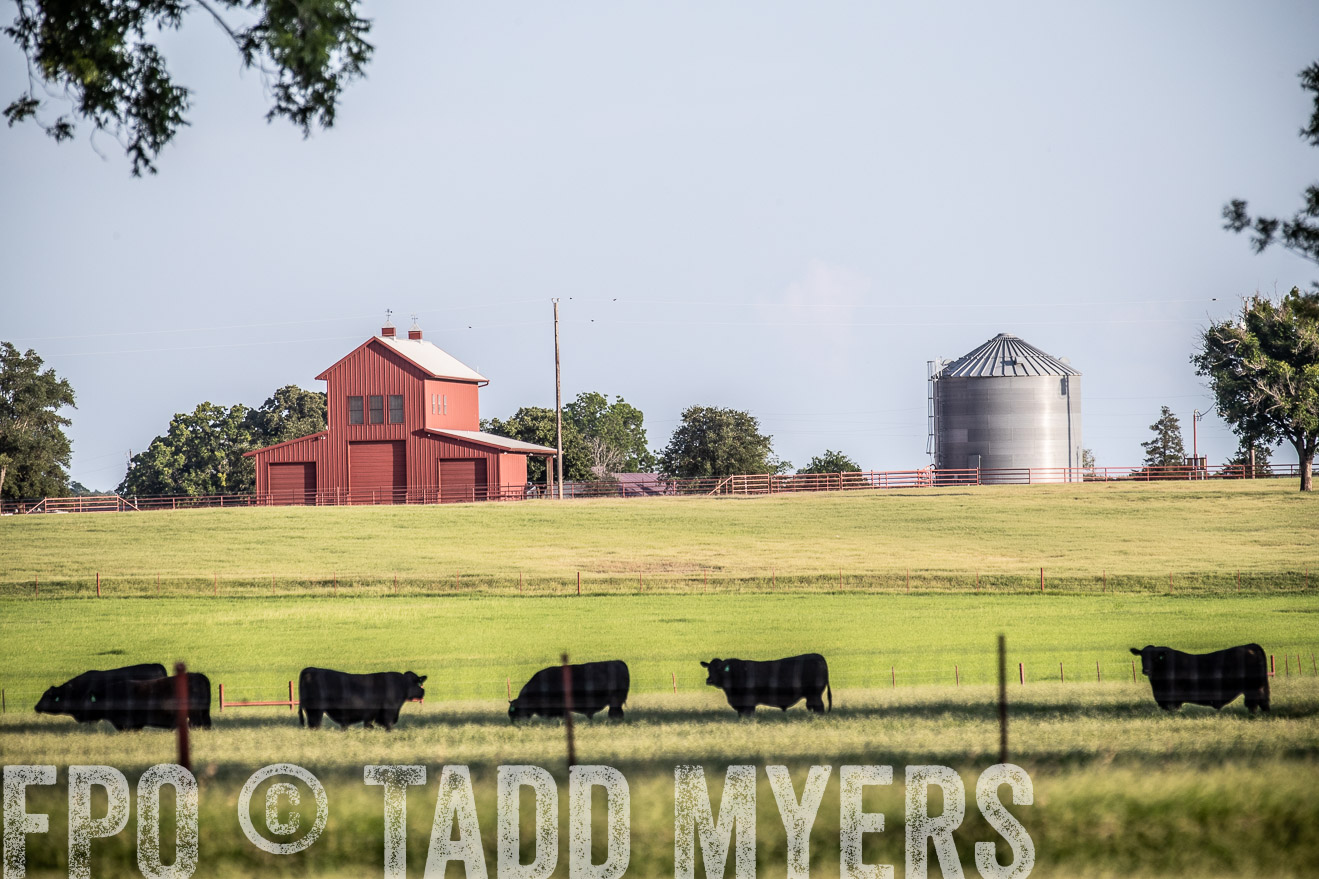 TMyers_44Farms_June2018-0601