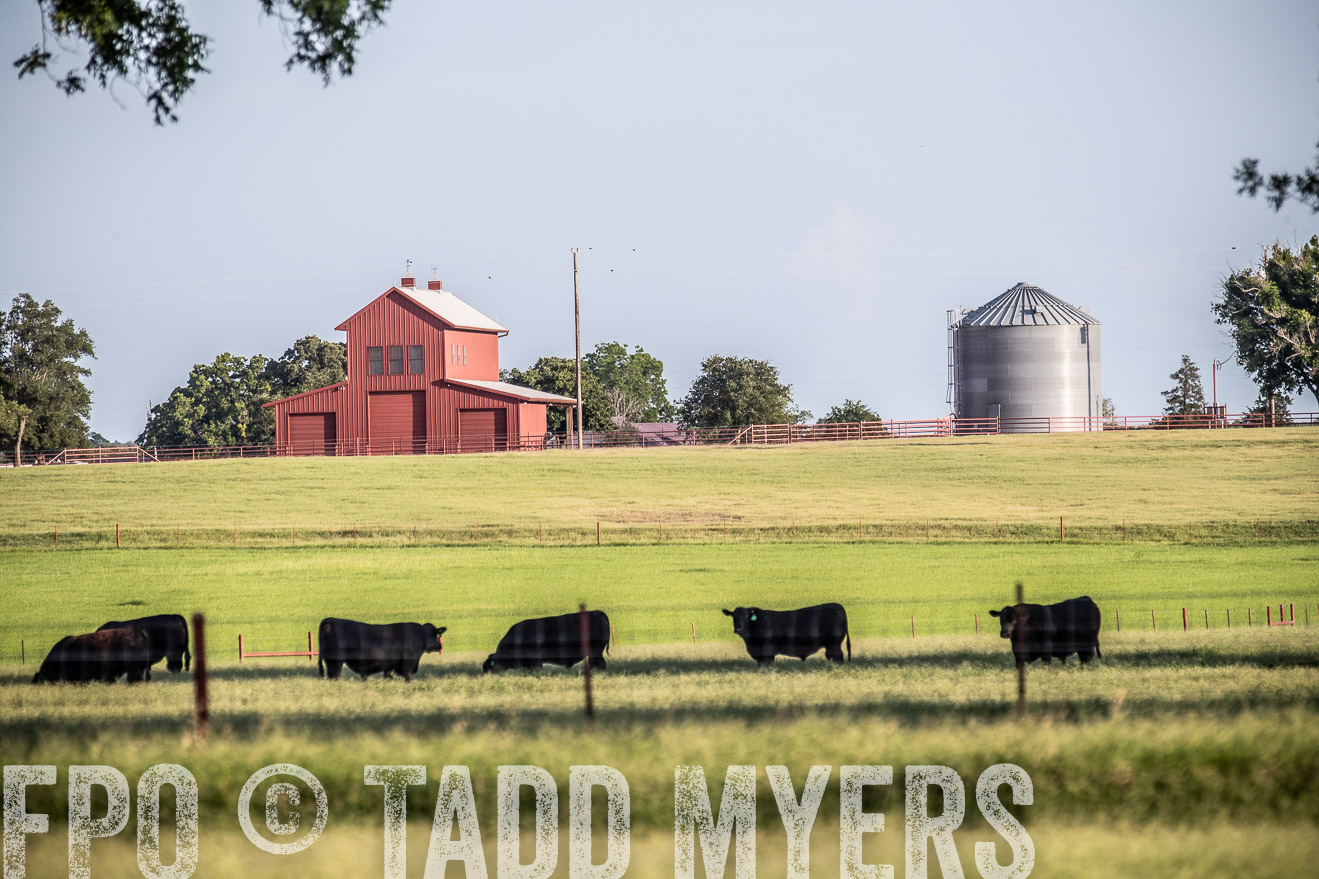 TMyers_44Farms_June2018-0605