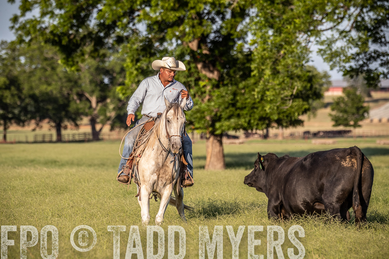 TMyers_44Farms_June2018-0609