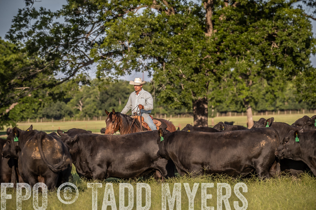 TMyers_44Farms_June2018-0612