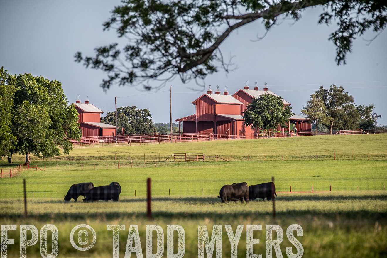 TMyers_44Farms_June2018-0624