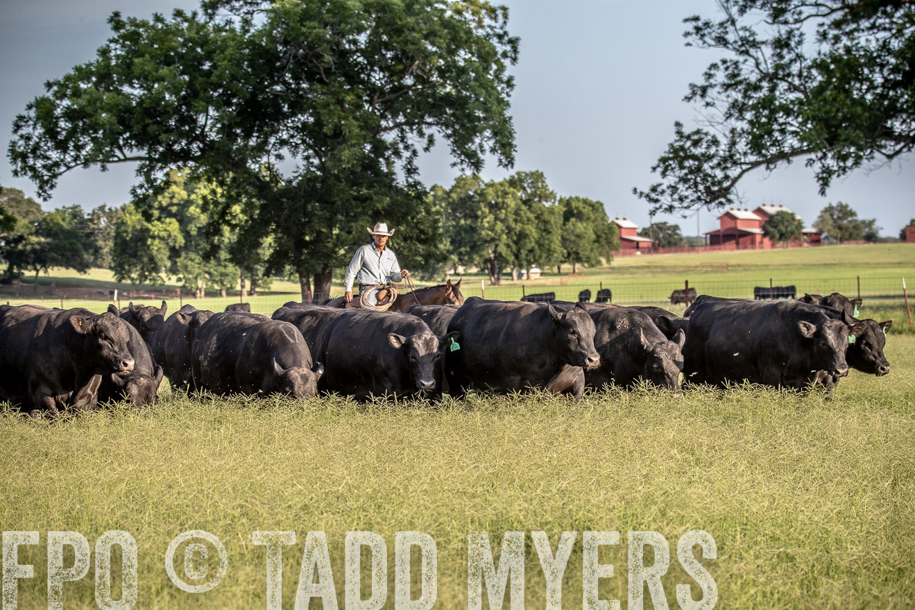 TMyers_44Farms_June2018-0637