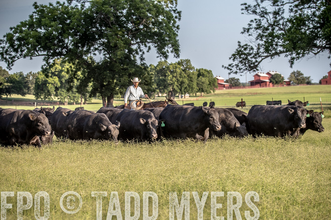 TMyers_44Farms_June2018-0638