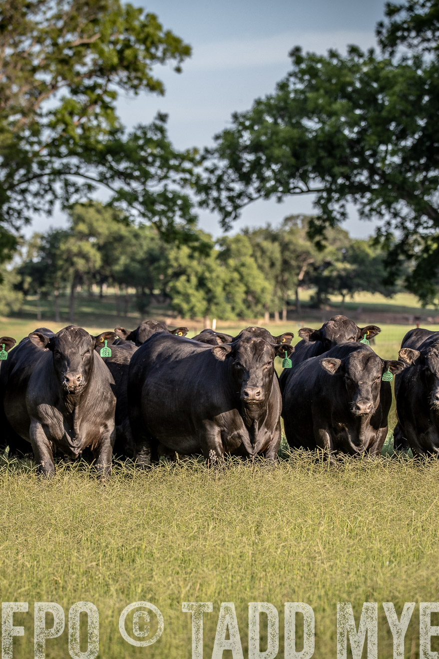 TMyers_44Farms_June2018-0654