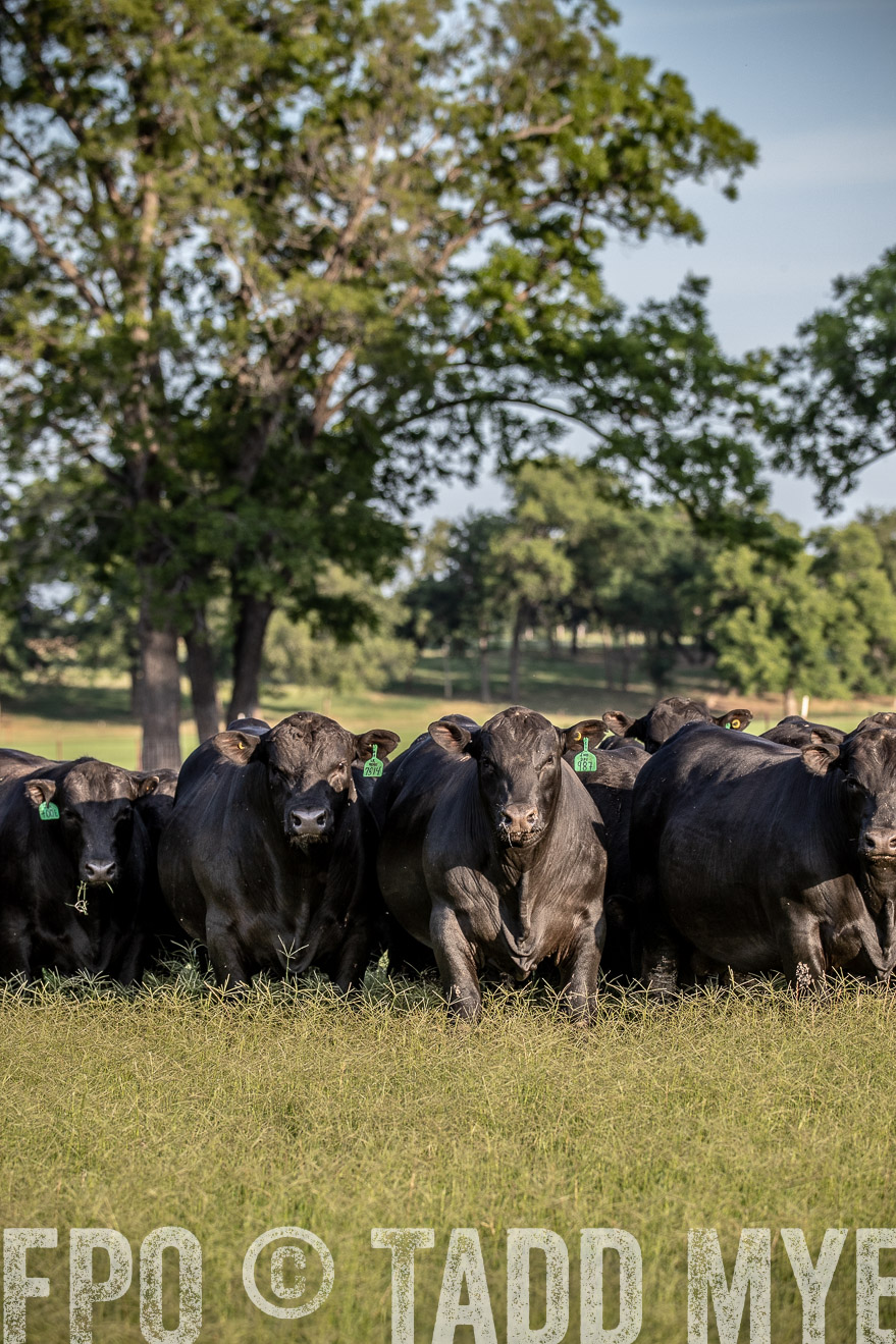 TMyers_44Farms_June2018-0657