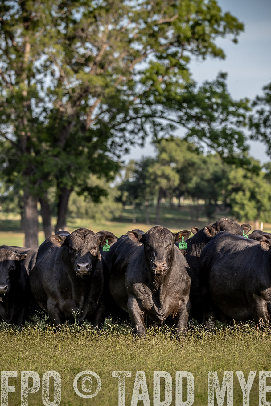 TMyers_44Farms_June2018-0659