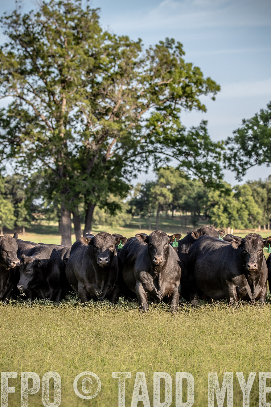 TMyers_44Farms_June2018-0662