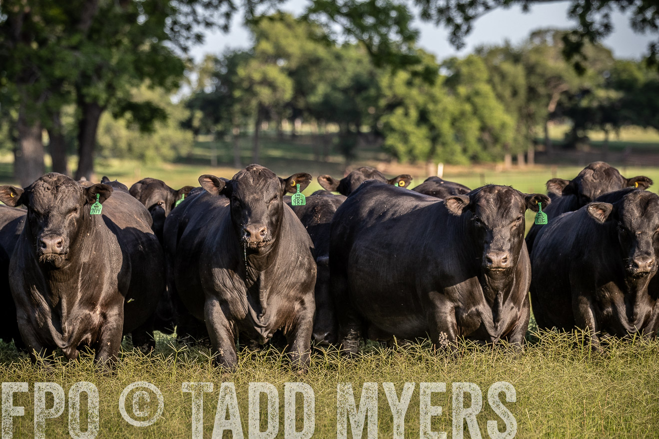 TMyers_44Farms_June2018-0687