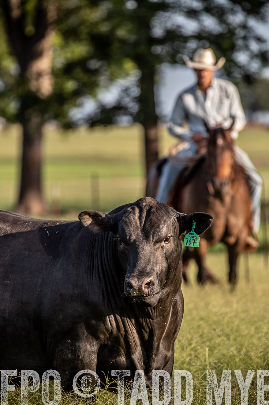 TMyers_44Farms_June2018-0763