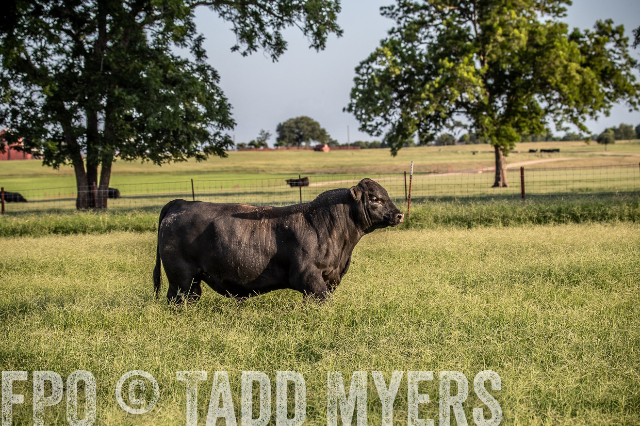 TMyers_44Farms_June2018-0828