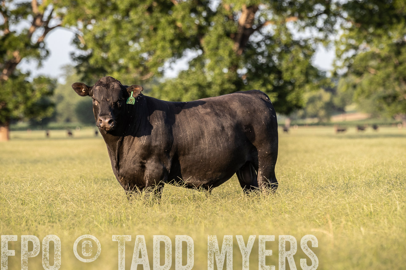 TMyers_44Farms_June2018-0991