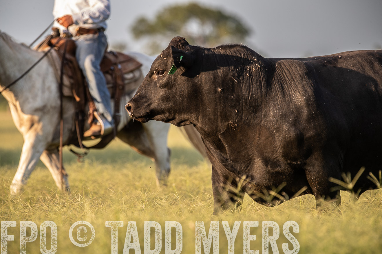 TMyers_44Farms_June2018-1028