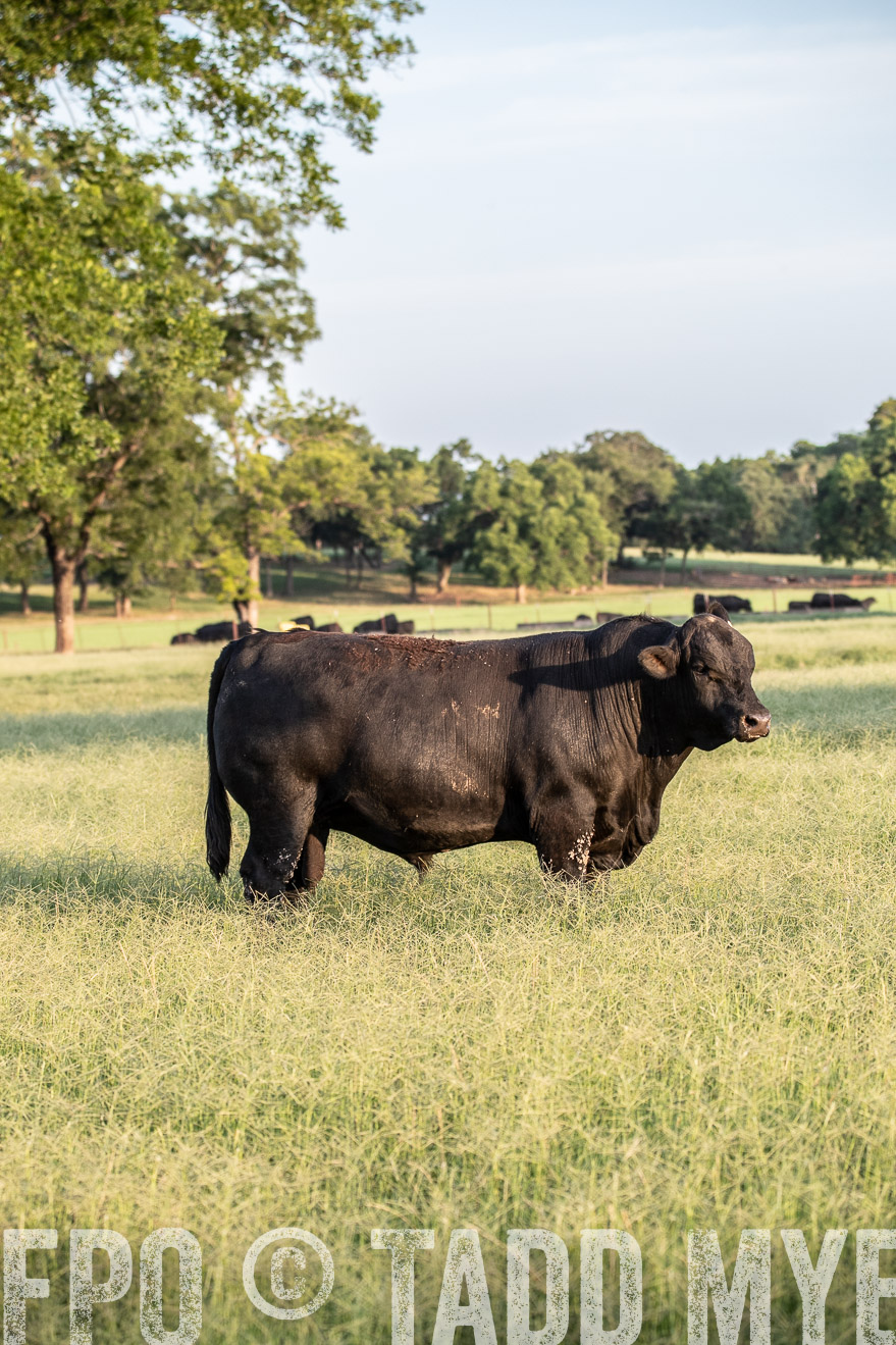 TMyers_44Farms_June2018-1093