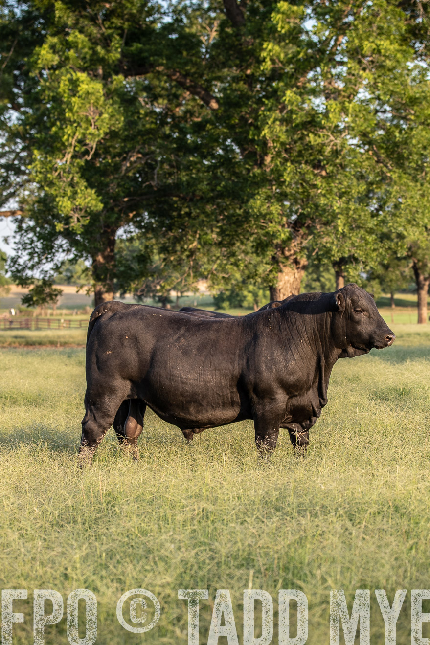TMyers_44Farms_June2018-1096