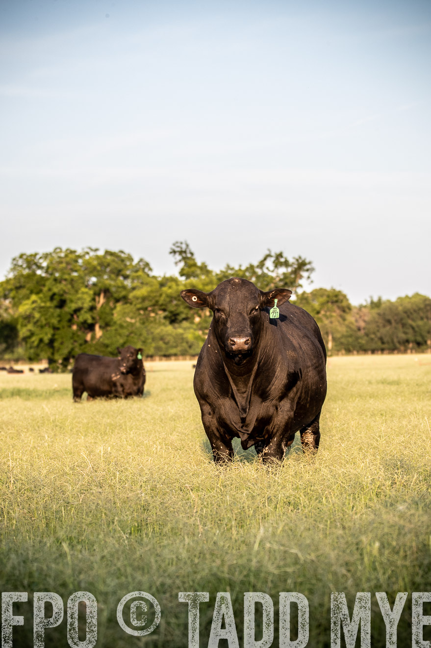 TMyers_44Farms_June2018-1110