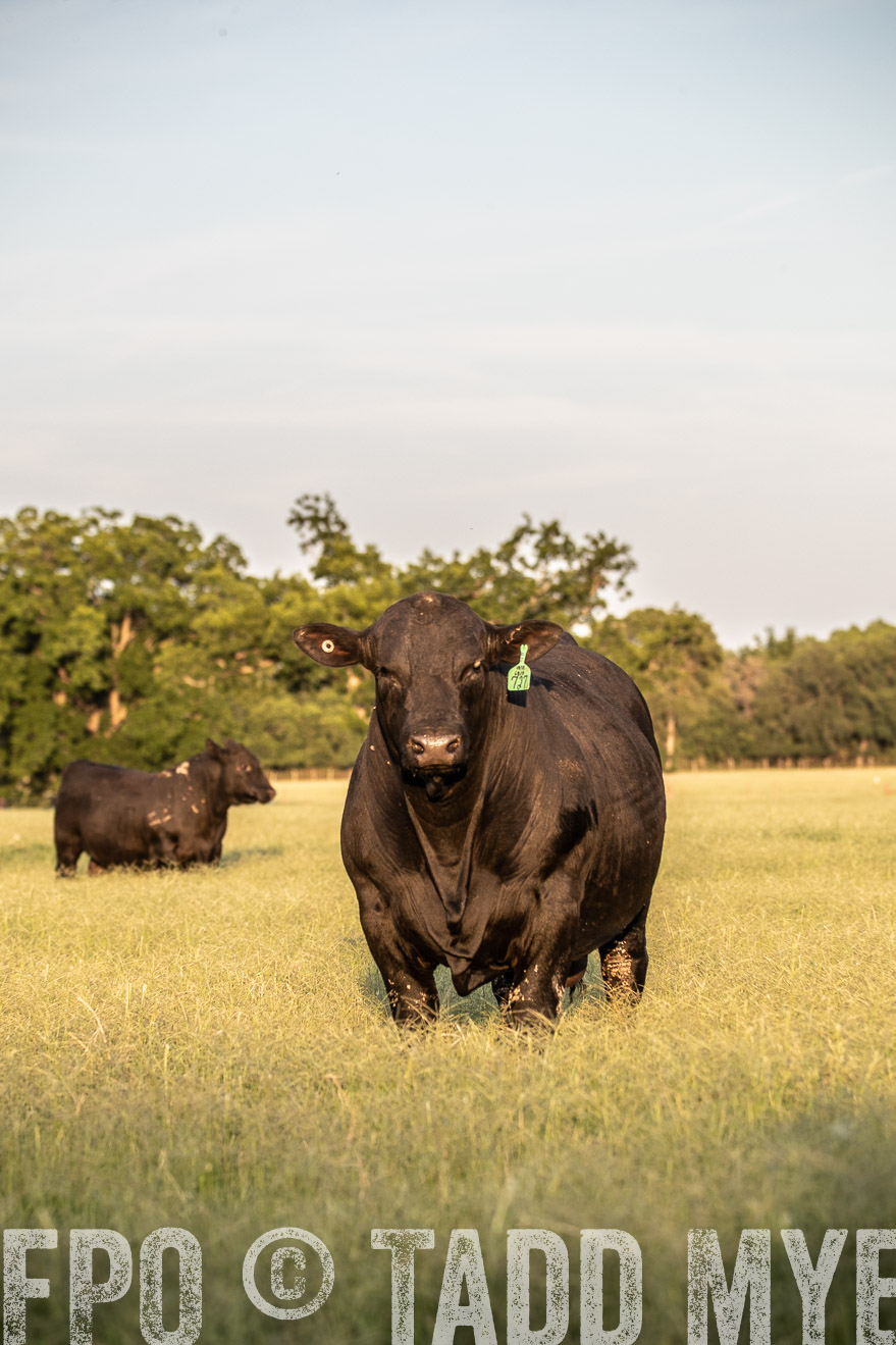 TMyers_44Farms_June2018-1123