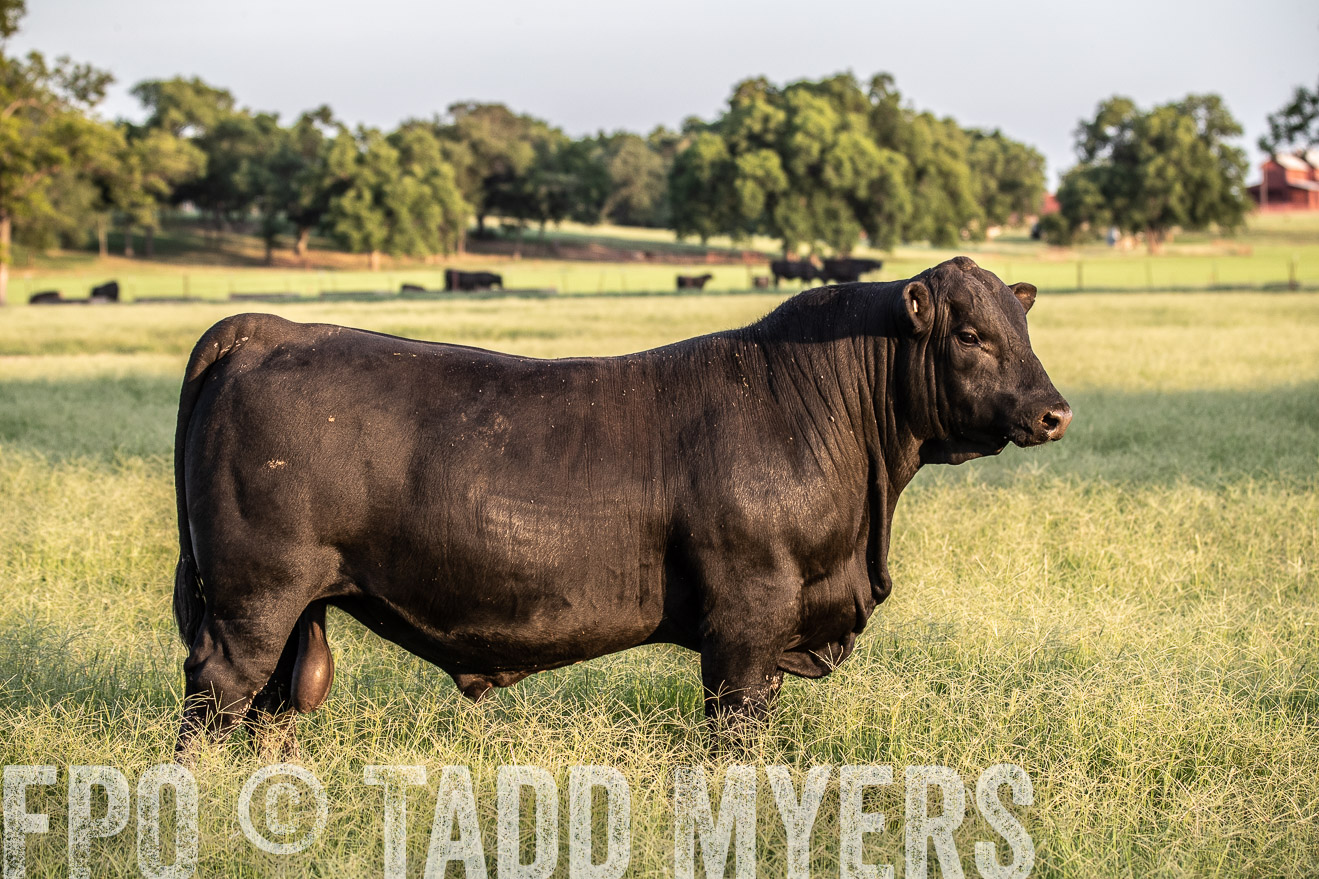 TMyers_44Farms_June2018-1136