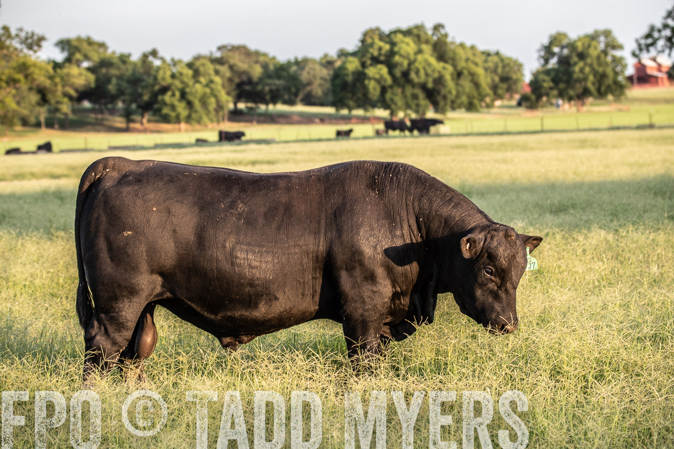 TMyers_44Farms_June2018-1139