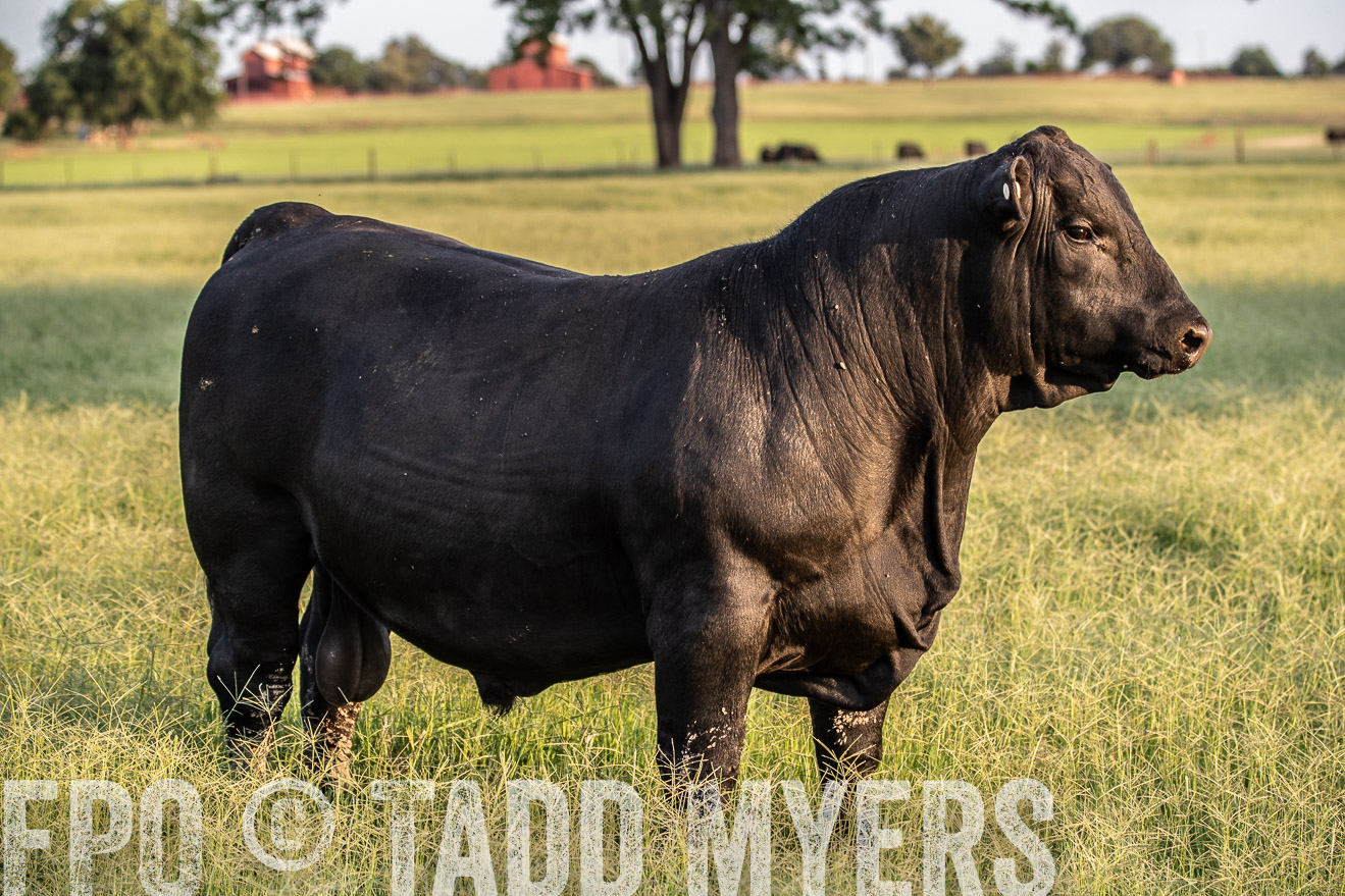 TMyers_44Farms_June2018-1145