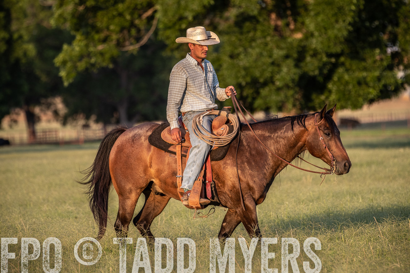 TMyers_44Farms_June2018-1184