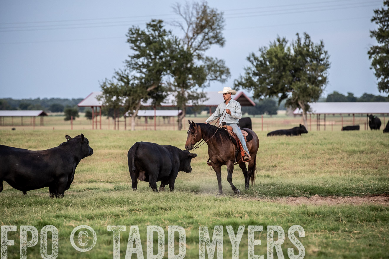TMyers_44Farms_June2018-1239