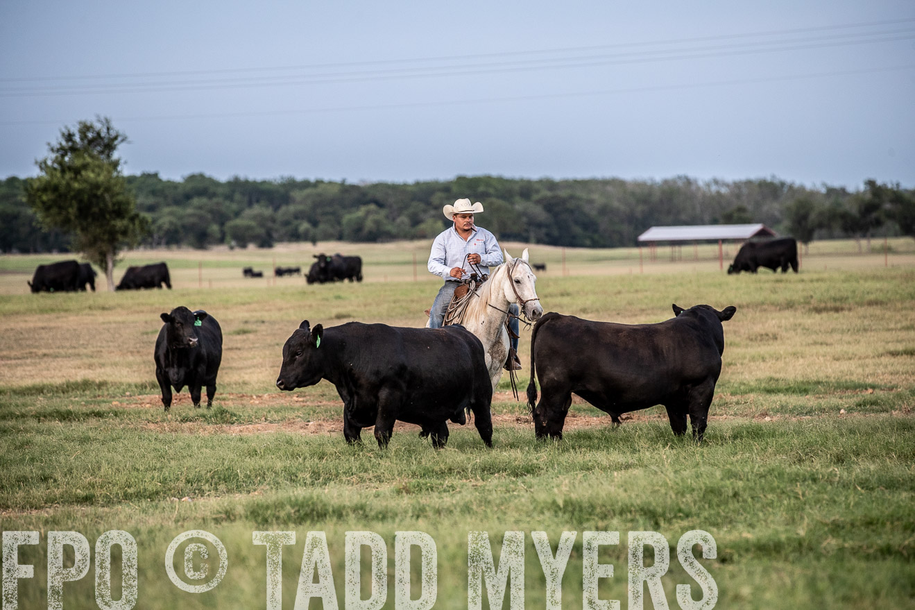 TMyers_44Farms_June2018-1241