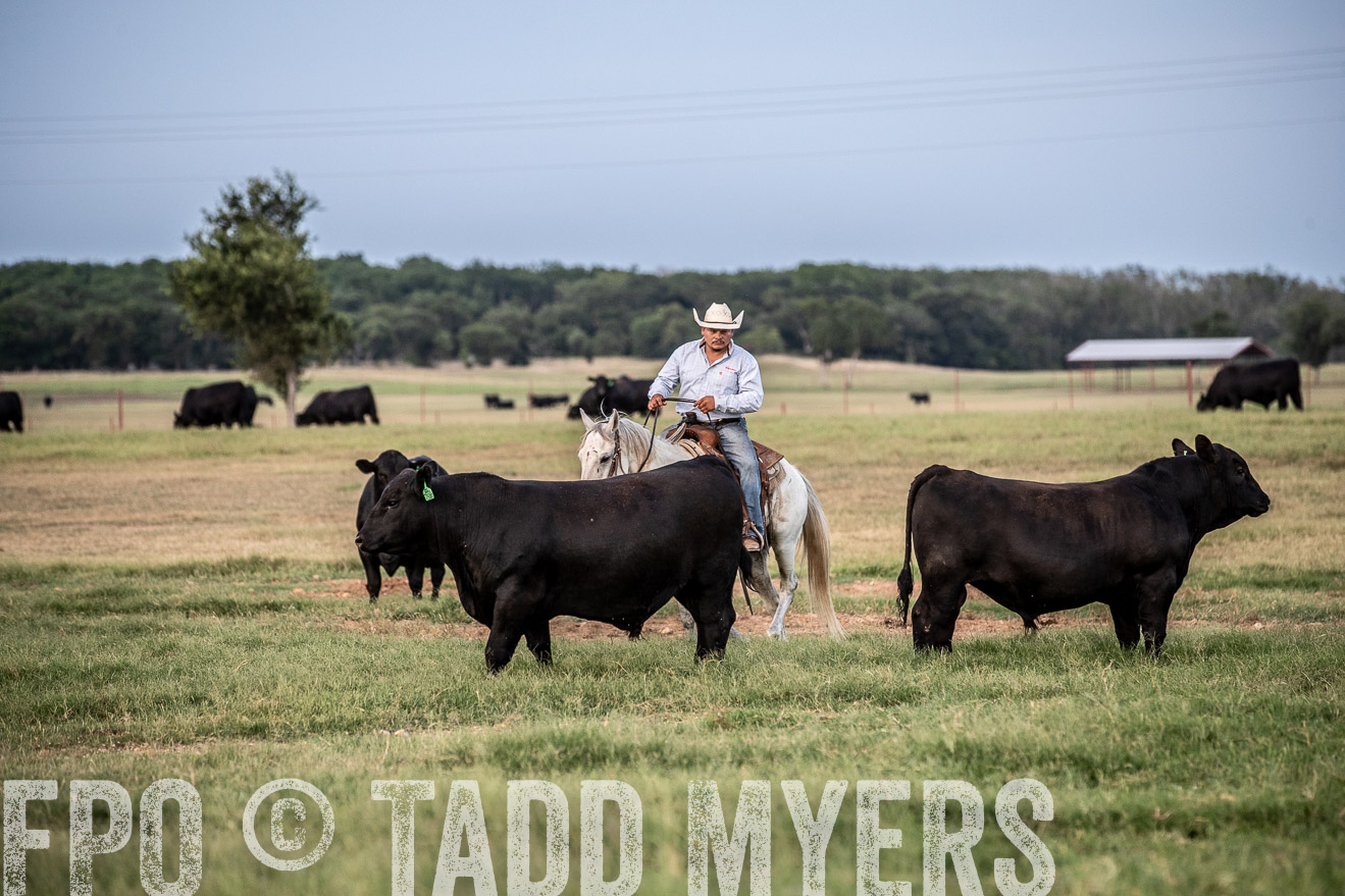 TMyers_44Farms_June2018-1244