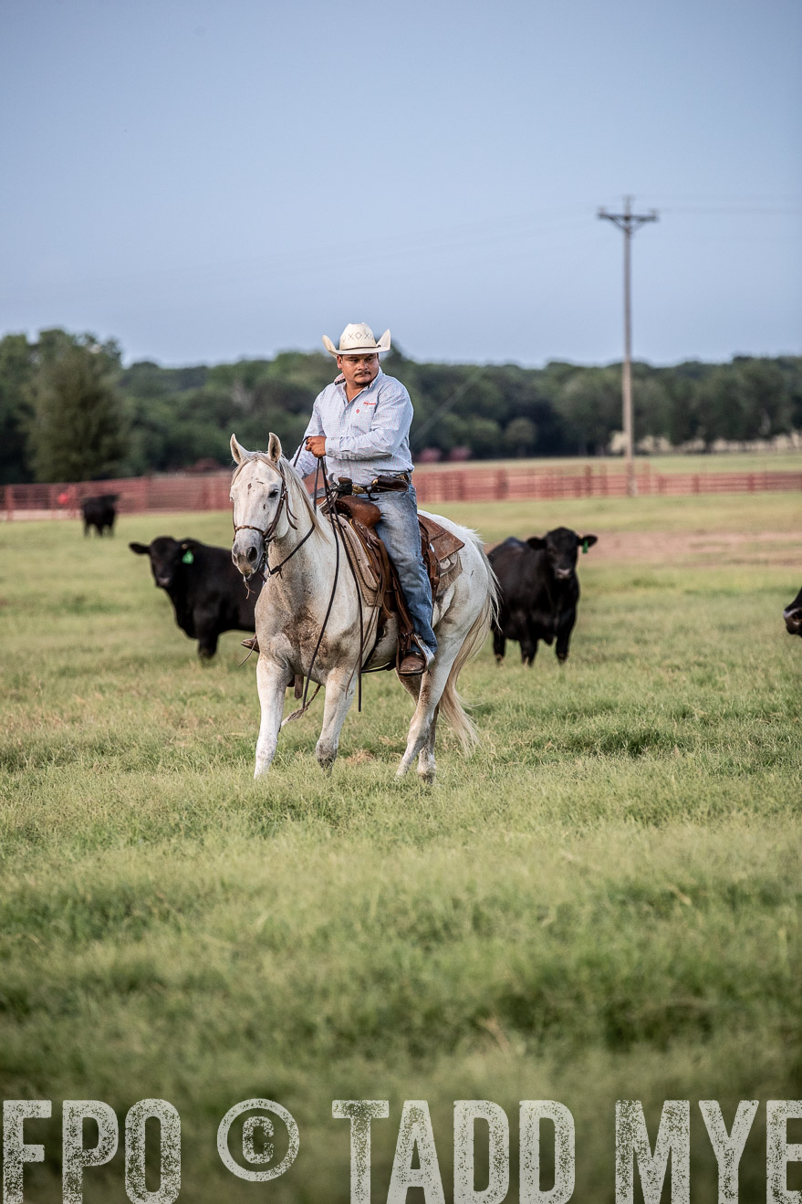 TMyers_44Farms_June2018-1254