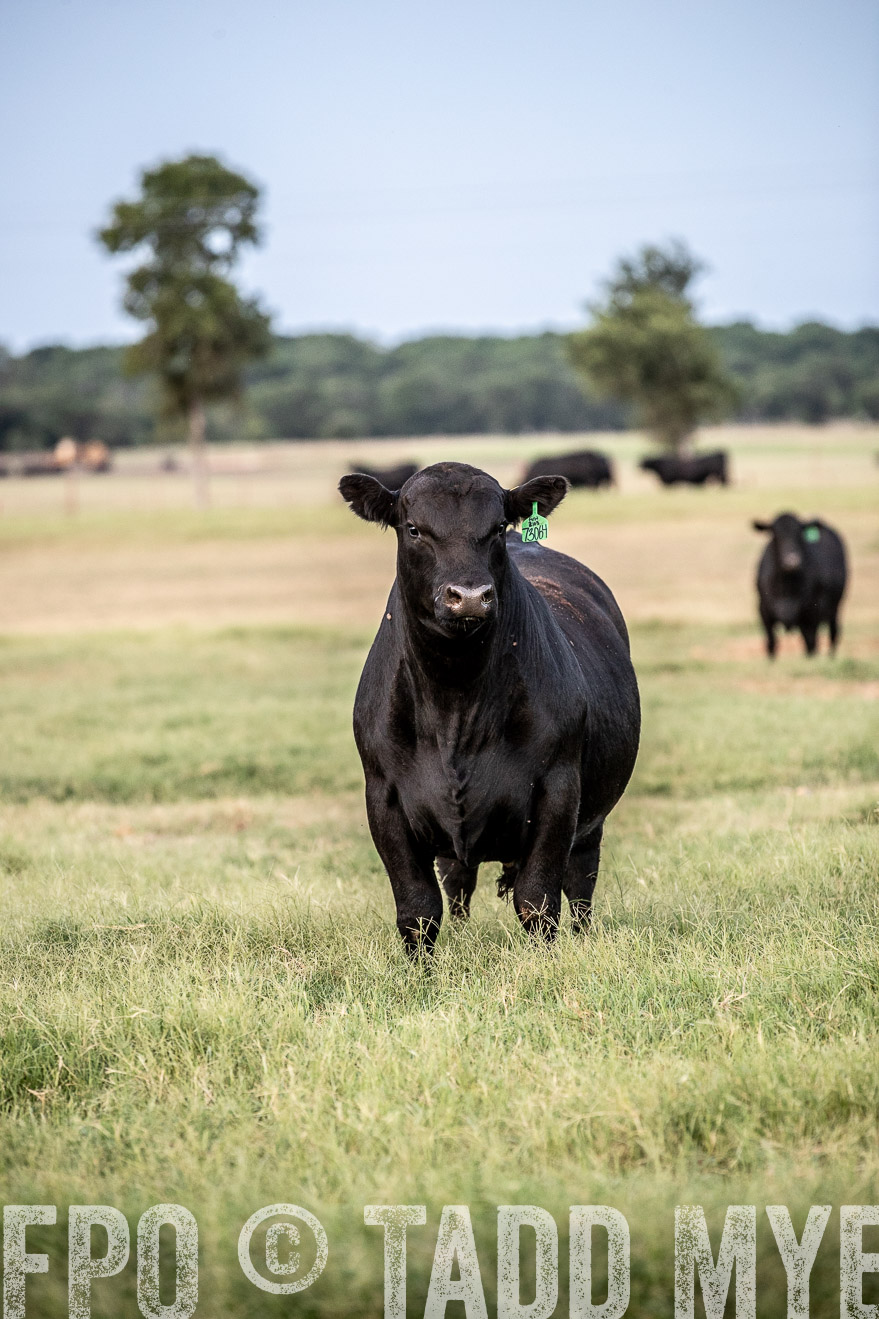 TMyers_44Farms_June2018-1256